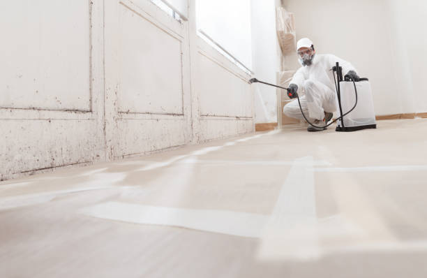 24/7 Emergency Mold Cleanup experts in Midland, TX