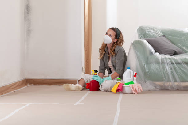 Reliable Mold Cleanup contractor in Midland, TX by WQB Mold Removal